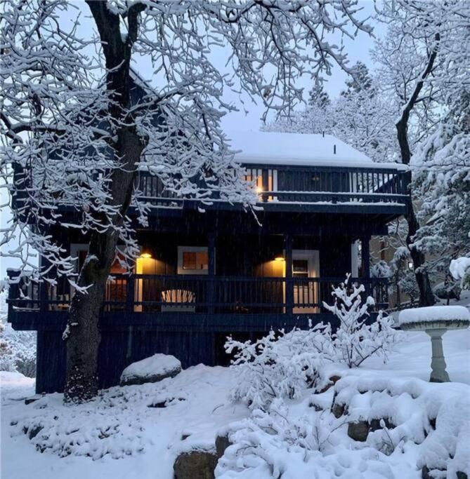 Charming Getaway Cabin Lake Arrowhead Dış mekan fotoğraf